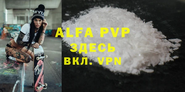 тгк Ростов