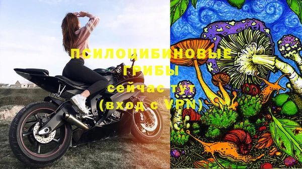 тгк Ростов