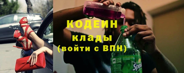 прущие крисы Рославль