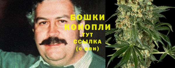прущие крисы Рославль