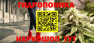 шишки Кулебаки