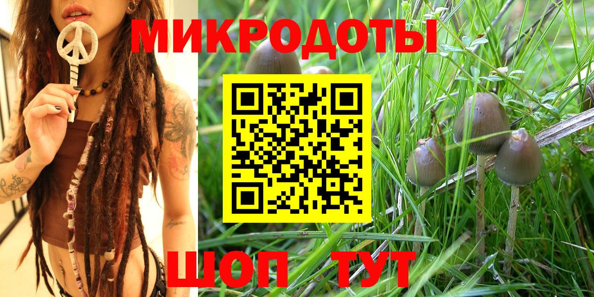 Галлюциногенные грибы Psilocybe  Вход с VPN  Дербент  Псилоцибиновые грибы прущие грибы 